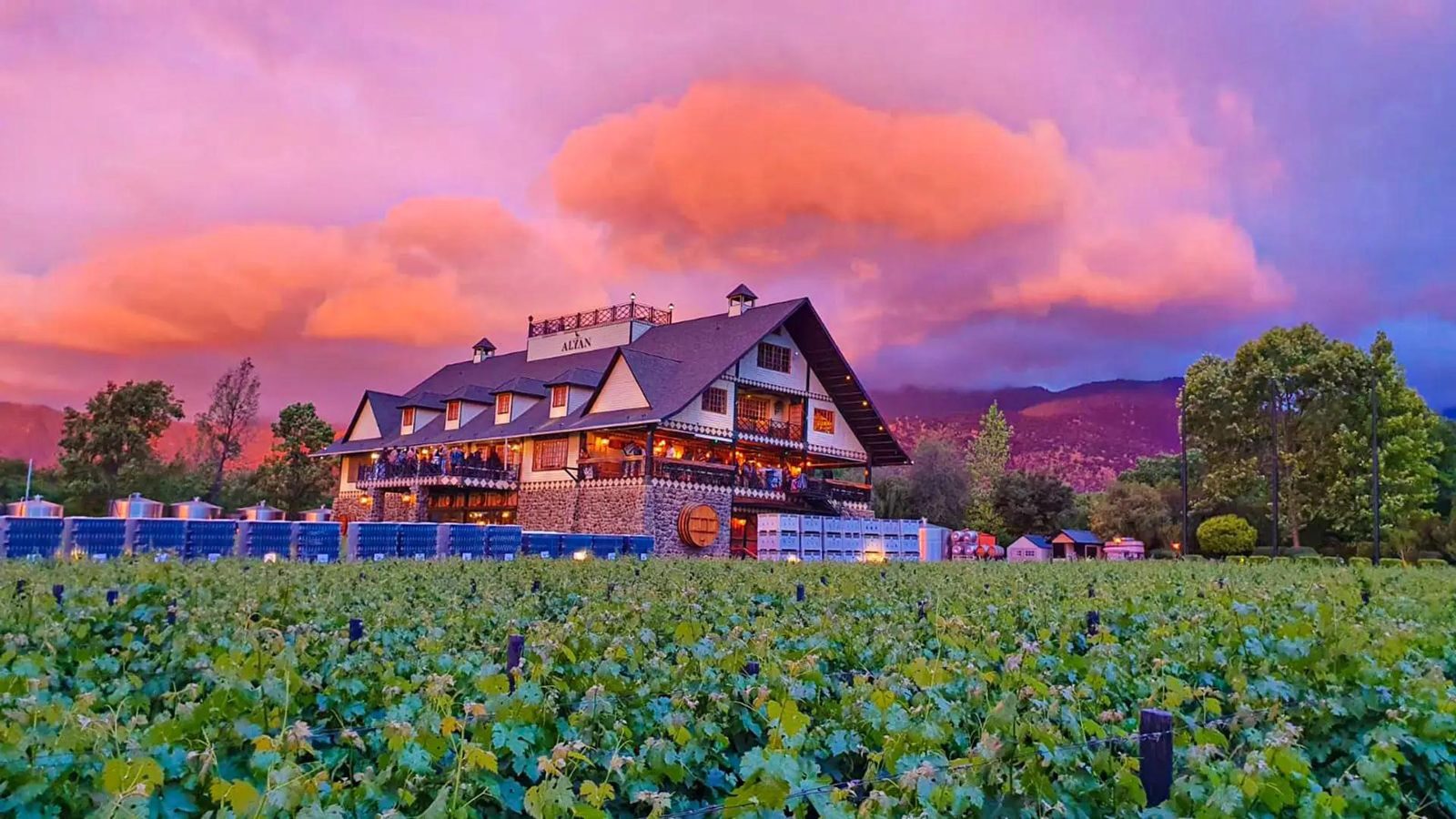 Sunset Alyan Family Wines