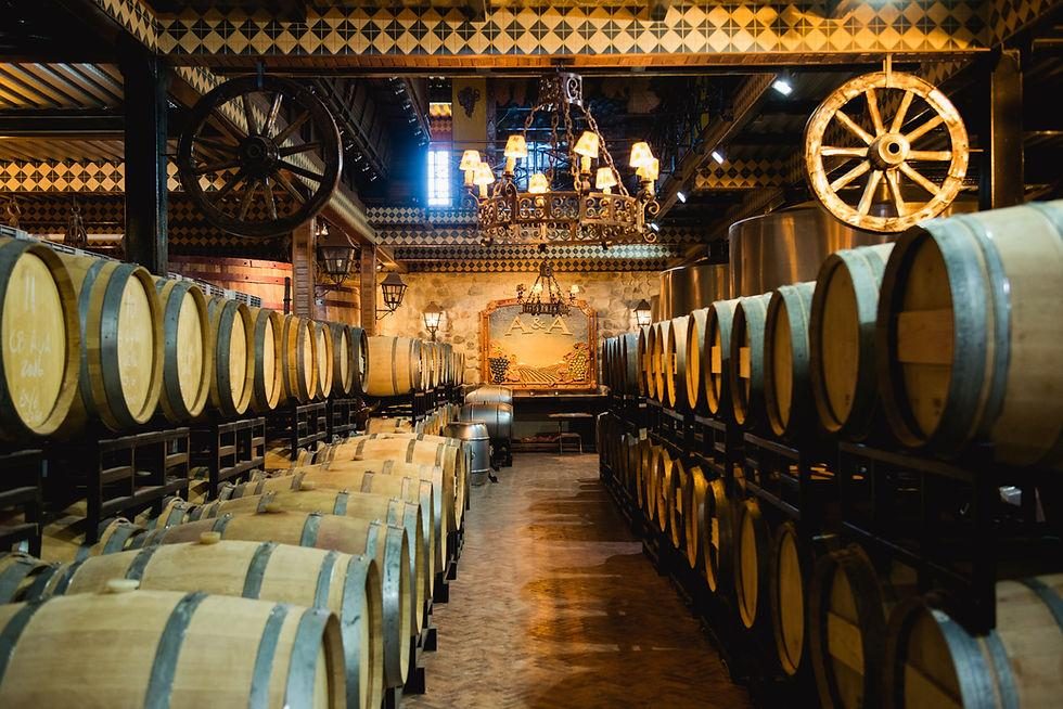 Sunset Alyan Family Wines — Fotos 11