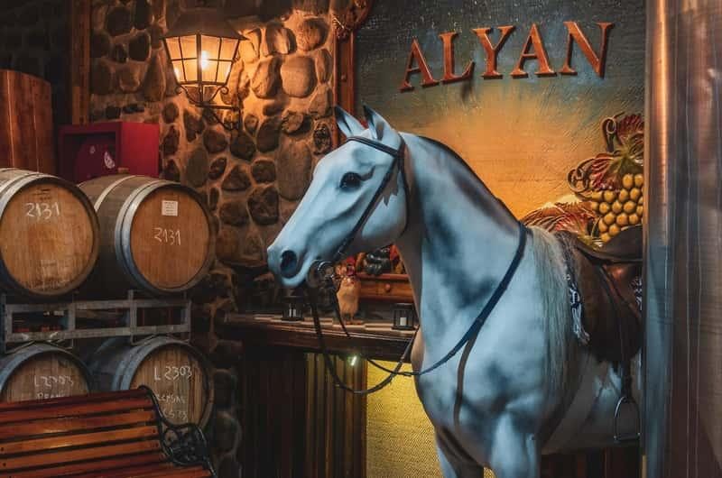 Sunset Alyan Family Wines — Fotos 13