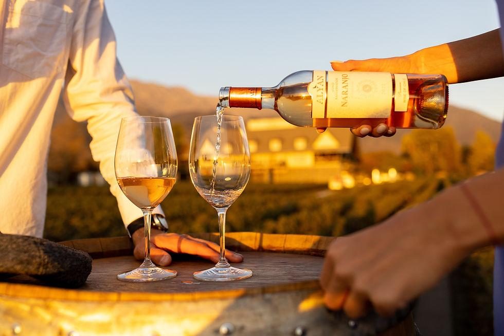 Sunset Alyan Family Wines — Fotos 4