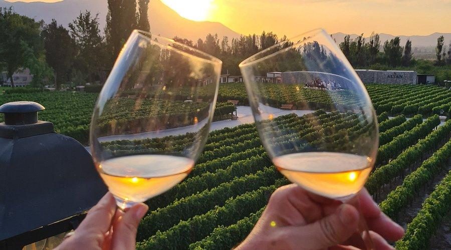 Sunset Alyan Family Wines — Fotos 5
