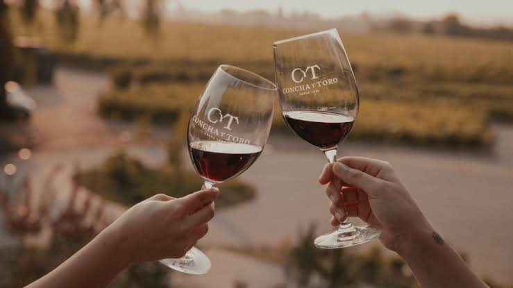 Visita Guiada Premium + Tasting Marques de Casa Concha — Concha y Toro