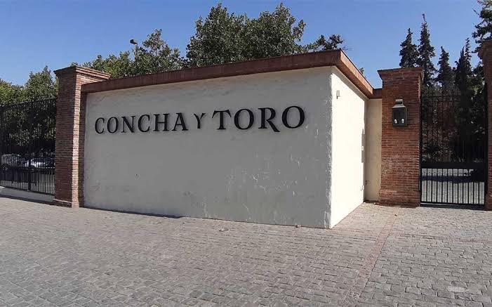 Visita Guiada Premium + Tasting Marques de Casa Concha — Concha y Toro — Fotos 11