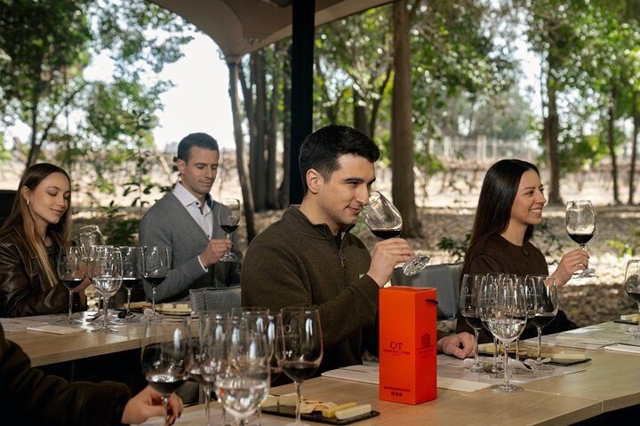 Visita Guiada Premium + Tasting Marques de Casa Concha — Concha y Toro — Fotos 5