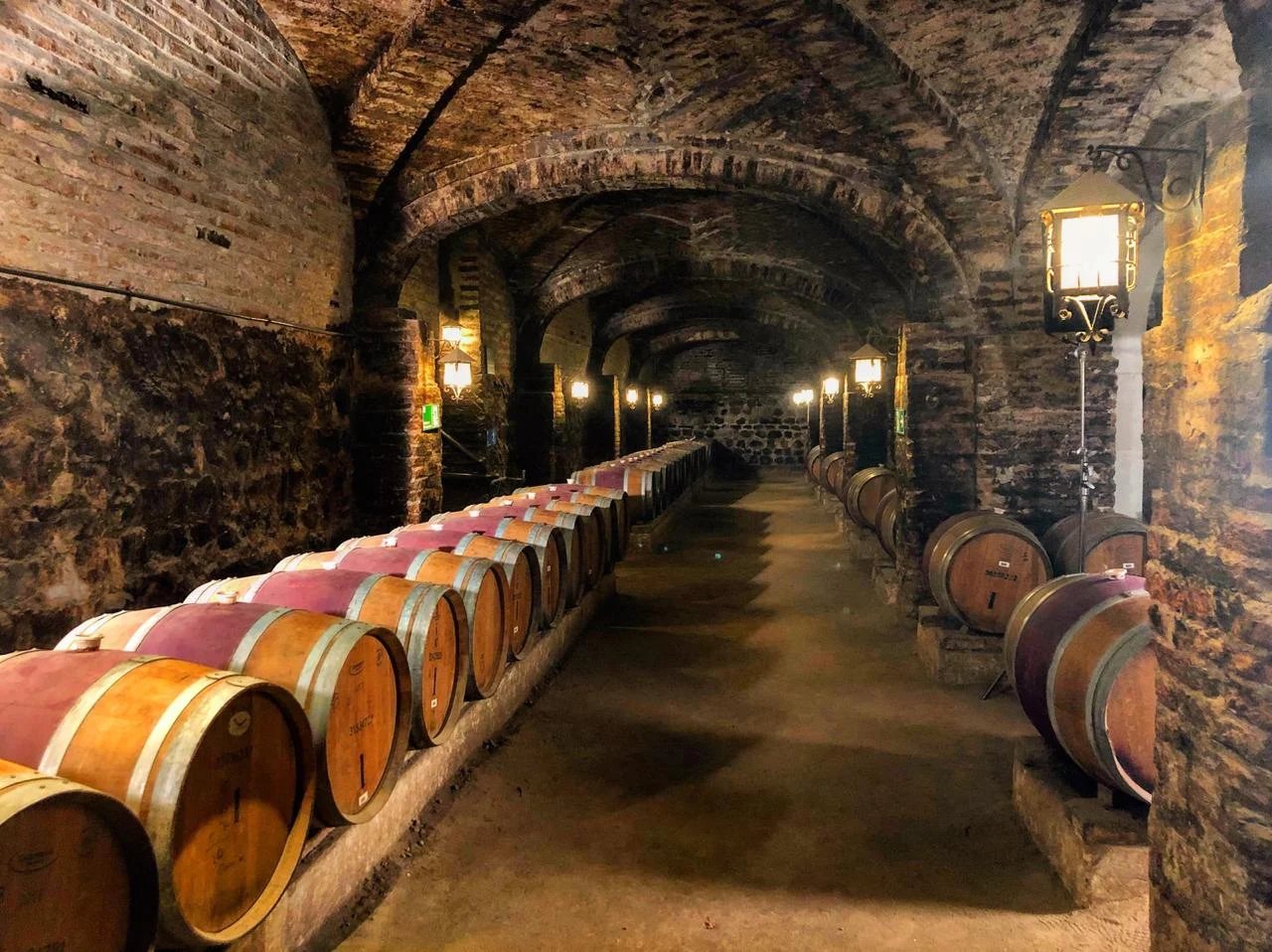 Tour Clásico — Viña Santa Rita — Fotos 12