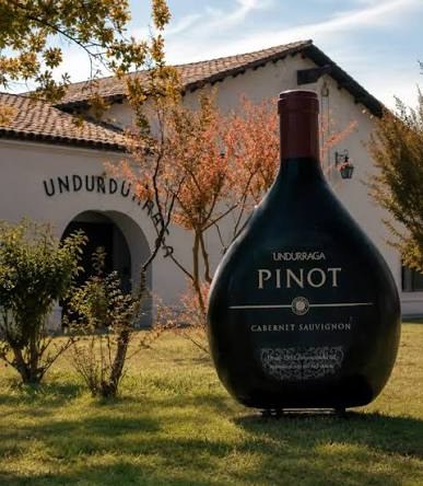 Tour Sibaris — Viña Undurraga