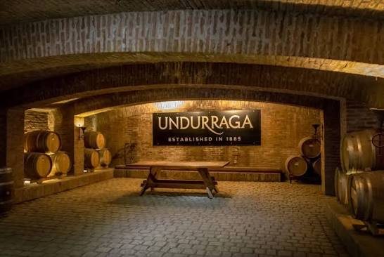 Tour Sibaris — Viña Undurraga — Fotos 10