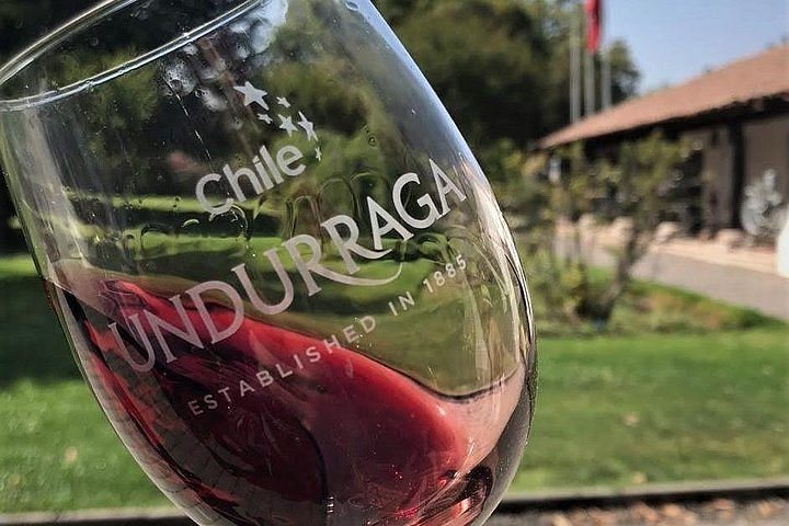 Tour Sibaris — Viña Undurraga — Fotos 8